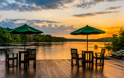 WHY JOIN US Amazon retreat 7a - Association of Nature & Forest Therapy