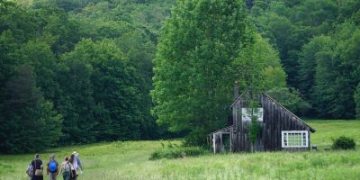 What Activities in Forests Are Beneficial for Human Health A Systematic Review - Association of Nature & Forest Therapy