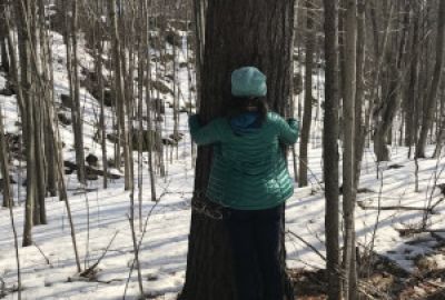 Who it s for Guiding in Winter and Cold Weather - Association of Nature & Forest Therapy