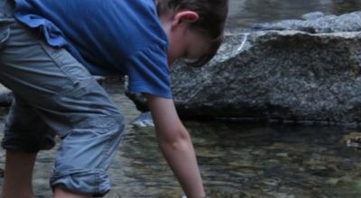Why join us Forest Therapy Guiding for Children & Youth - Association of Nature & Forest Therapy