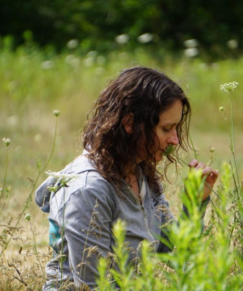 Why ANFT - Association of Nature & Forest Therapy