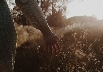 andreas strandman oyOWo8Zq6h4 unsplash - Association of Nature & Forest Therapy