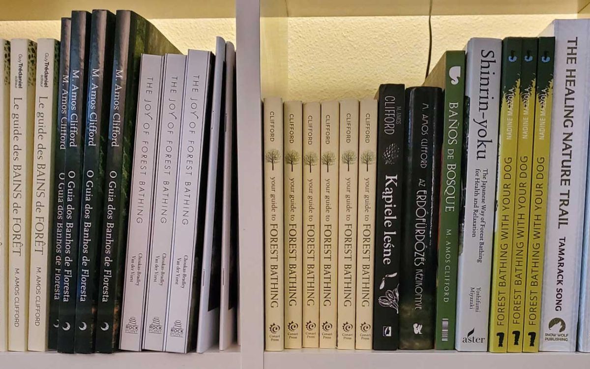 Hero Rec Read - Association of Nature & Forest Therapy