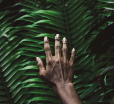 mohamed lammah LCMh96lFMkI unsplash - Association of Nature & Forest Therapy