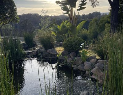 Nature And Forest Therapy - Association of Nature & Forest Therapy