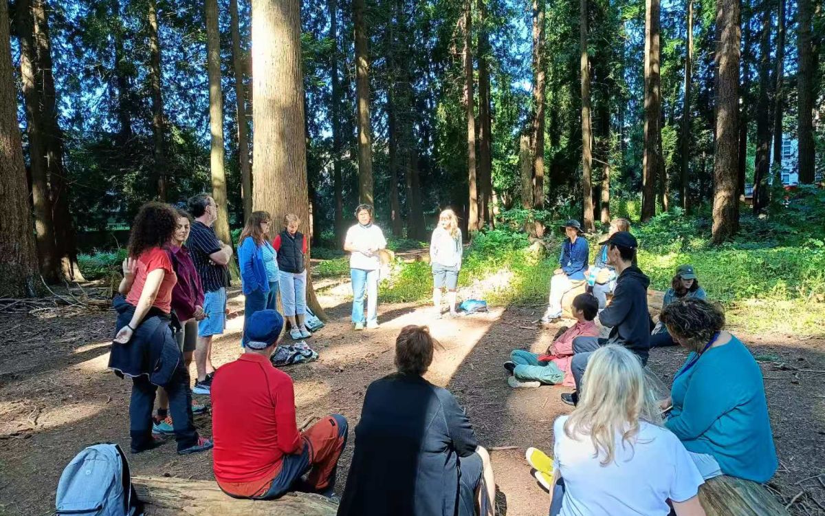 Nature And Forest Therapy - Association of Nature & Forest Therapy