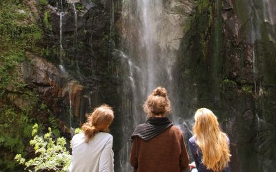 Nature Medicine Why Join Us - Association of Nature & Forest Therapy