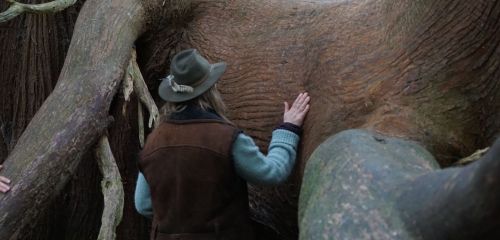 Research - Association of Nature & Forest Therapy