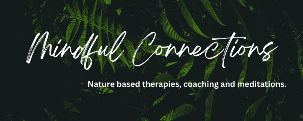 Mindfulness Connections