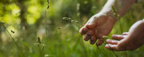 Reclaiming Belonging