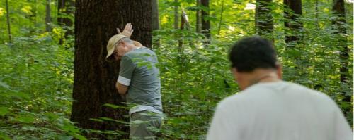 Nurtured by Nature Forest Therapy