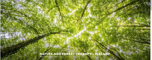 Nature and forest therapy - Iceland