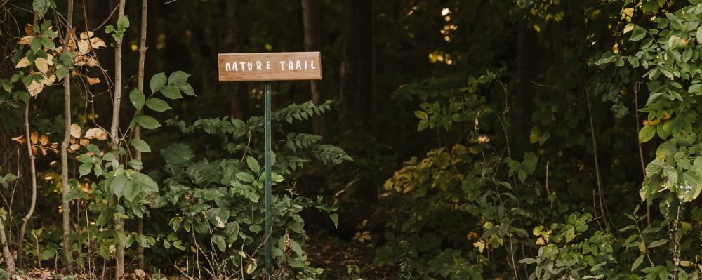 Forest City Nature Therapy
