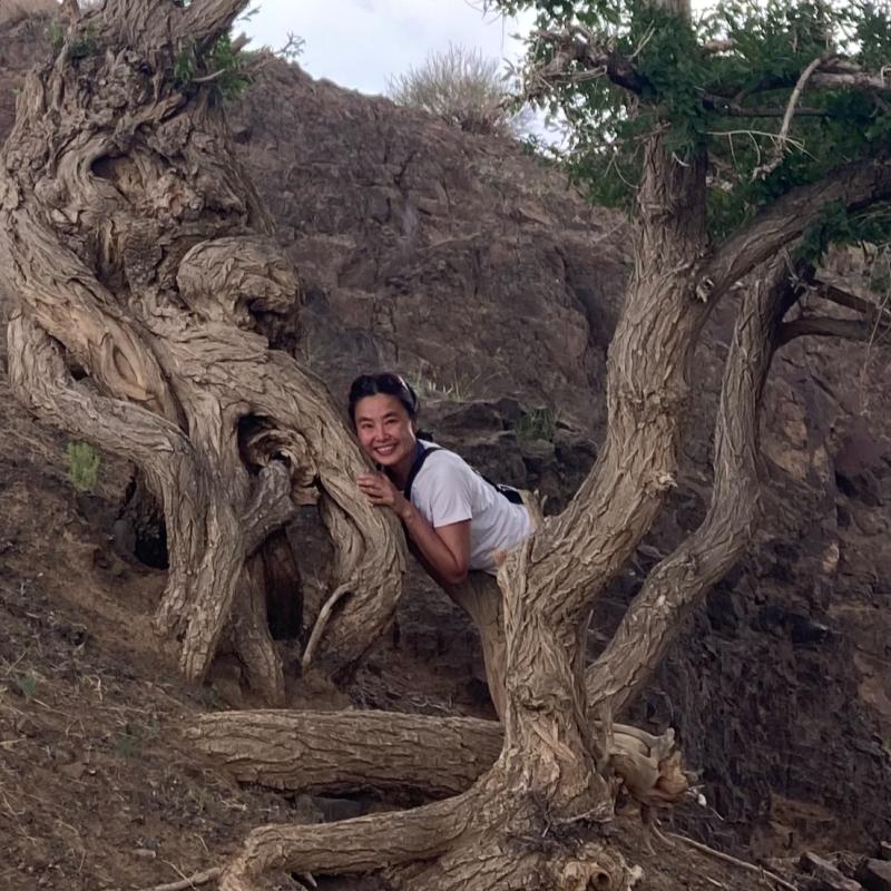 Hummingbird research coaching consulting LLC