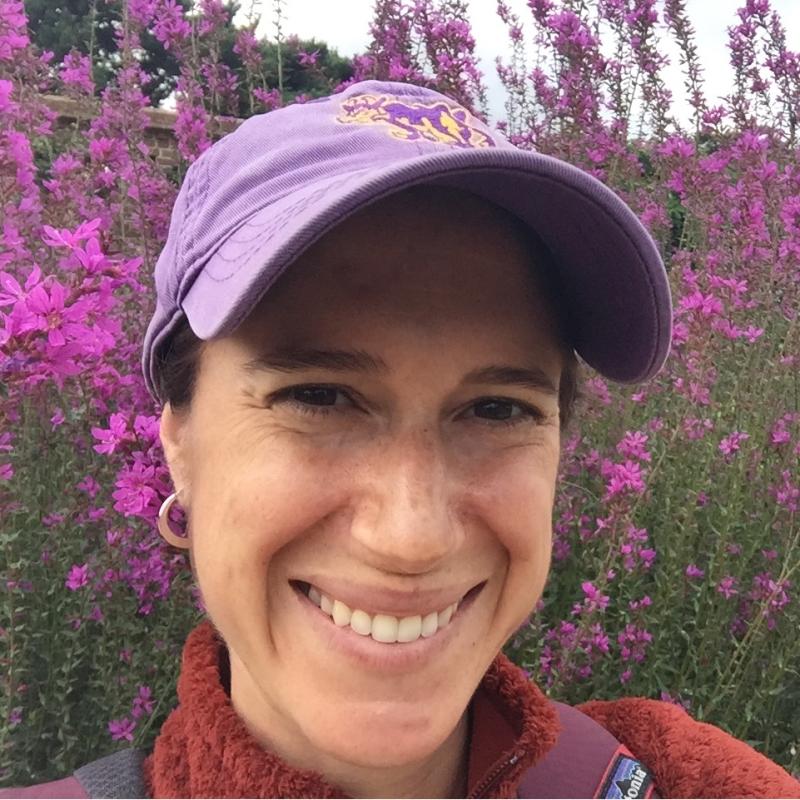 Lilac Nature Connection