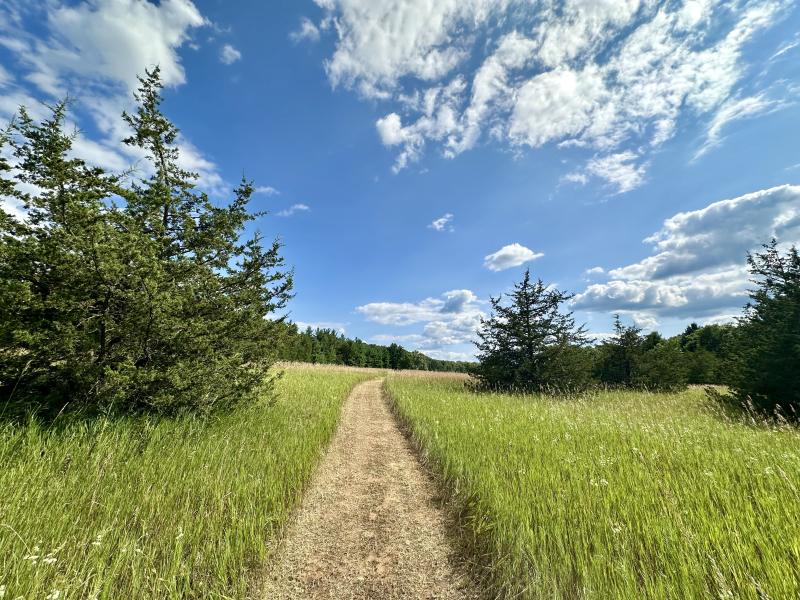 The land of One Tree Forest Therapy