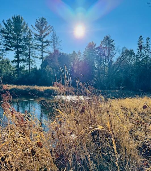 Nature heals and balances.