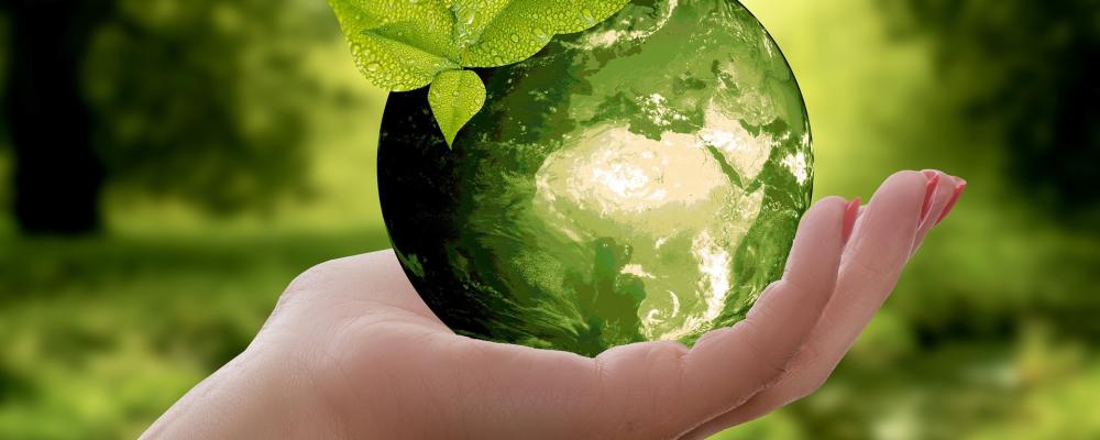 Nature Immersion Journeys