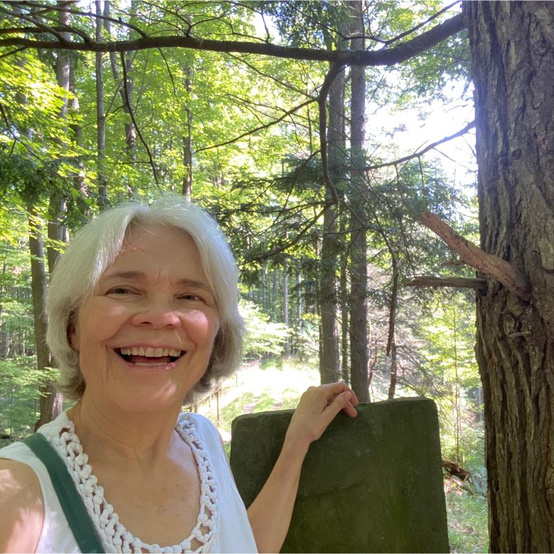 Woodland Immersions