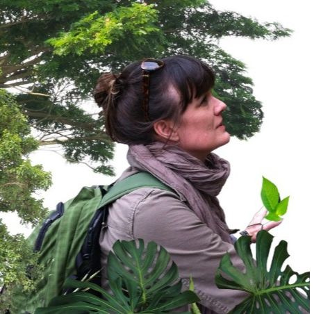 Folia Forest Therapy